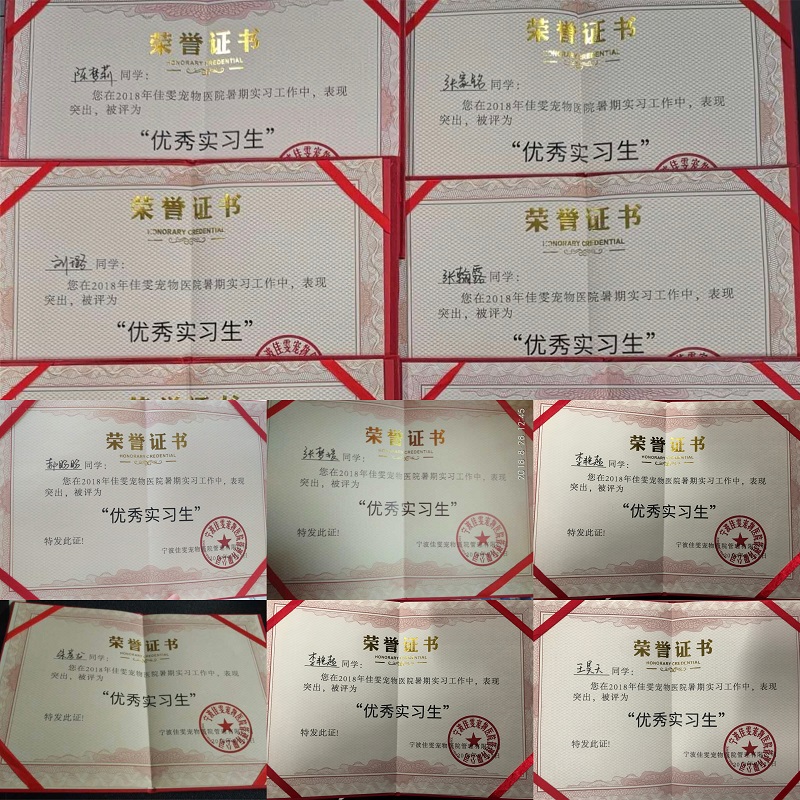 部分同学证书展示